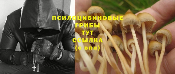 прущая мука Балабаново