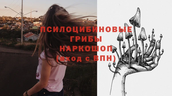 дмт Баксан