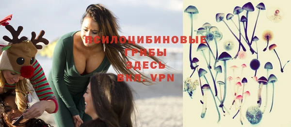 дмт Баксан
